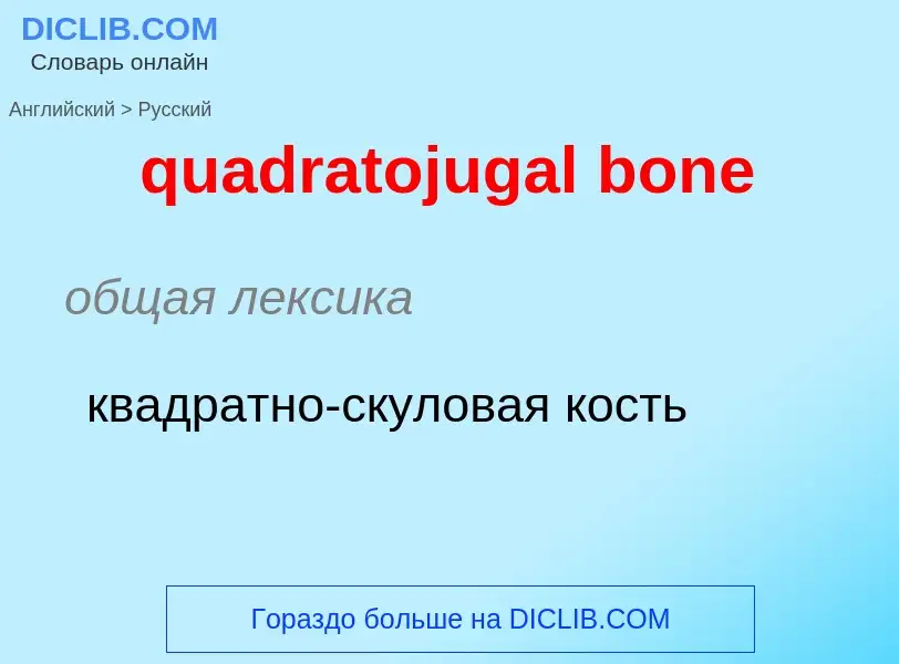 Μετάφραση του &#39quadratojugal bone&#39 σε Ρωσικά