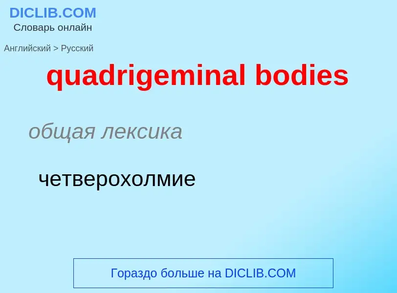 Como se diz quadrigeminal bodies em Russo? Tradução de &#39quadrigeminal bodies&#39 em Russo