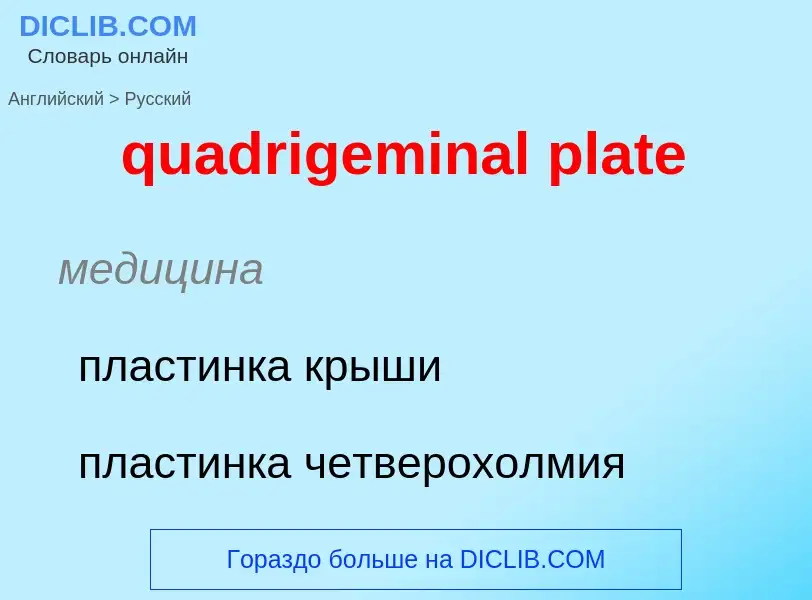 Μετάφραση του &#39quadrigeminal plate&#39 σε Ρωσικά