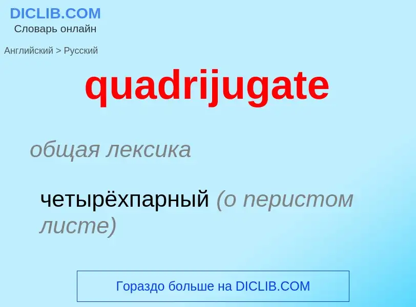 Como se diz quadrijugate em Russo? Tradução de &#39quadrijugate&#39 em Russo