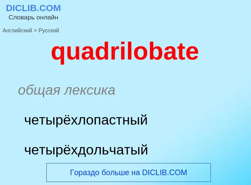 Как переводится quadrilobate на Русский язык