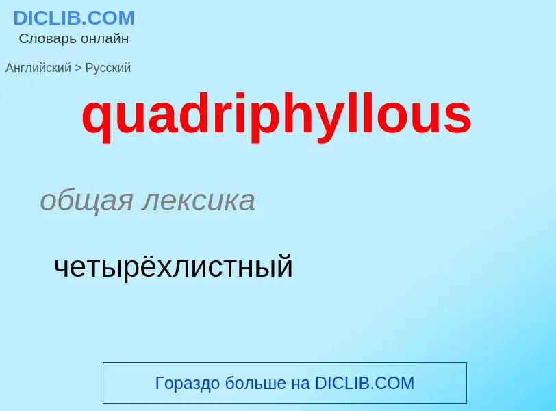 Как переводится quadriphyllous на Русский язык