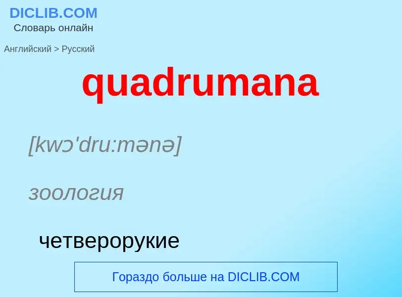 Как переводится quadrumana на Русский язык