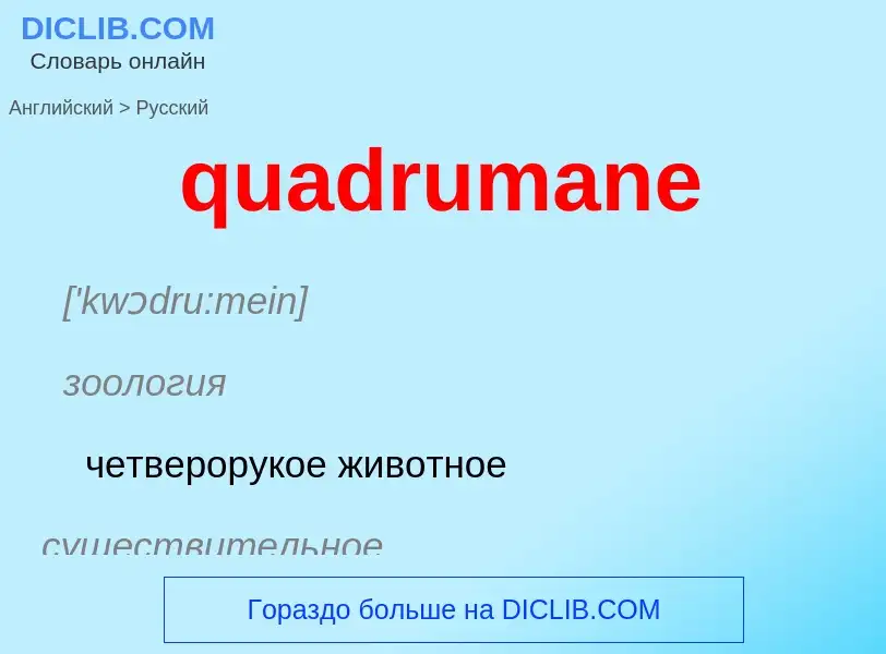 Como se diz quadrumane em Russo? Tradução de &#39quadrumane&#39 em Russo