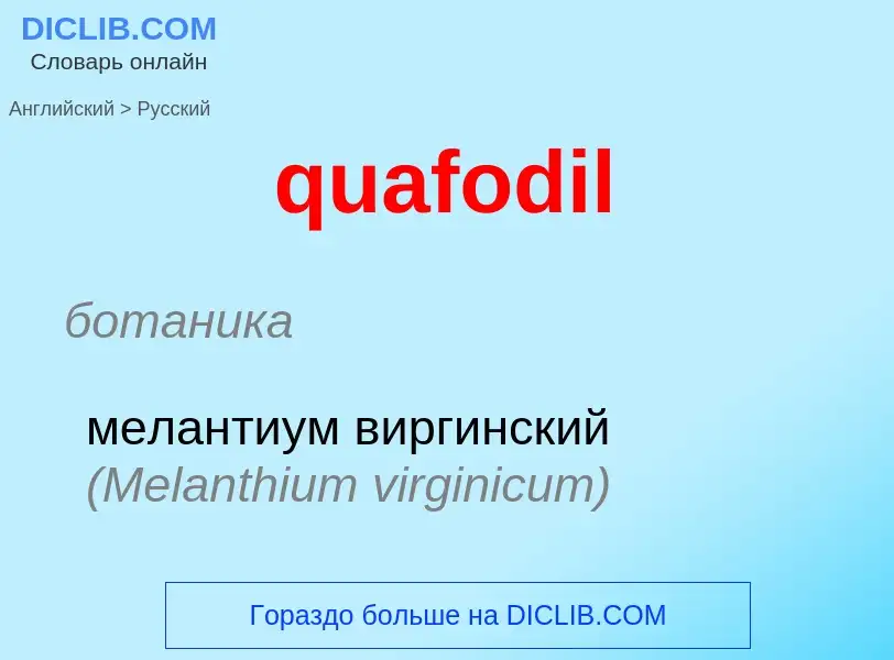 Como se diz quafodil em Russo? Tradução de &#39quafodil&#39 em Russo