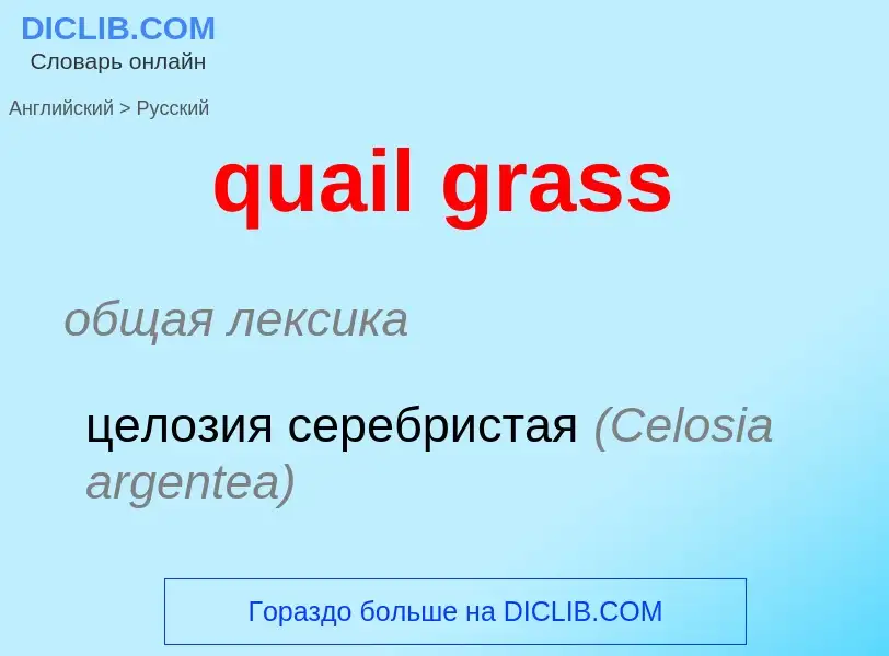 Как переводится quail grass на Русский язык