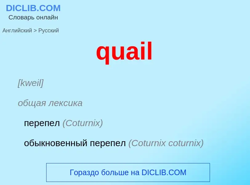 Как переводится quail на Русский язык