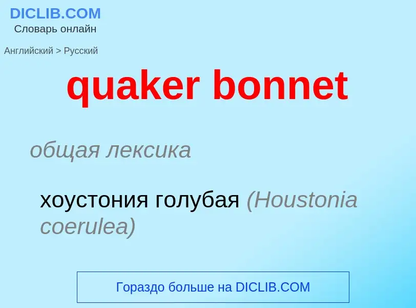 Como se diz quaker bonnet em Russo? Tradução de &#39quaker bonnet&#39 em Russo