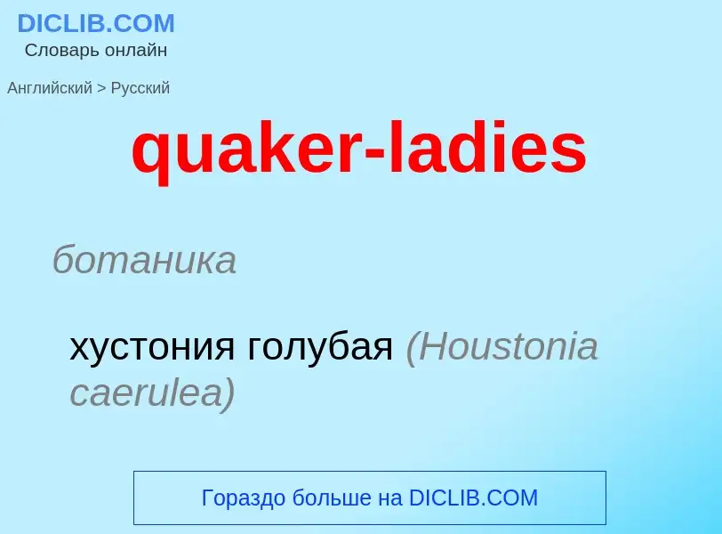 Как переводится quaker-ladies на Русский язык