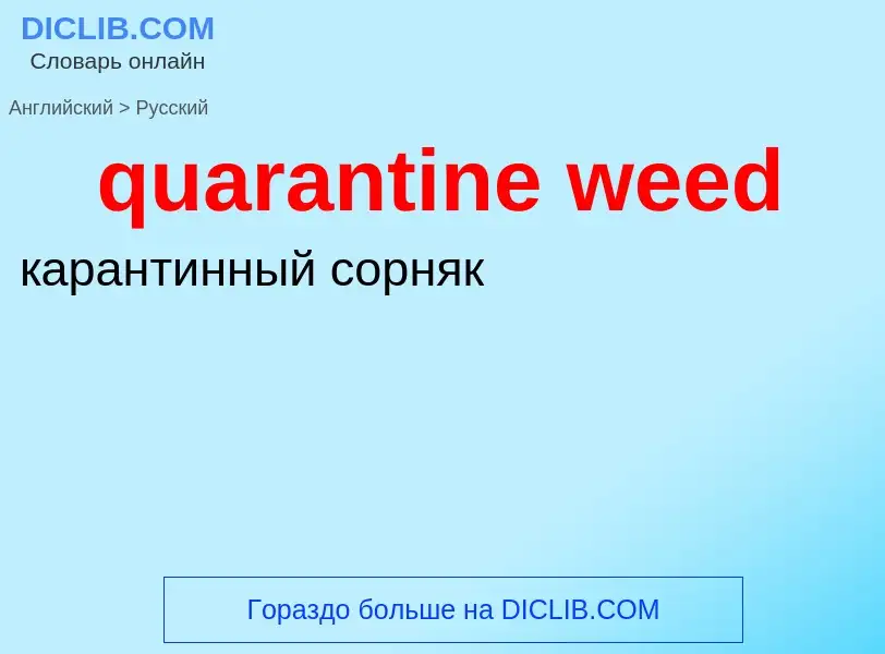 Traduction de &#39quarantine weed&#39 en Russe