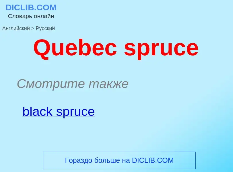 Как переводится Quebec spruce на Русский язык