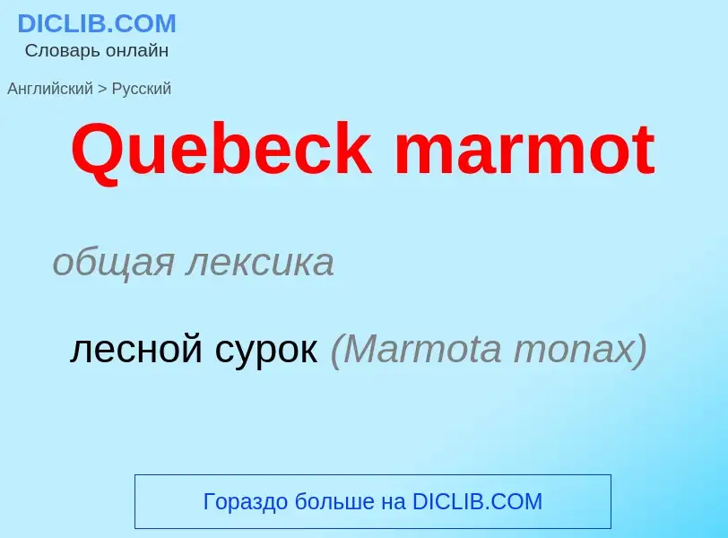 Μετάφραση του &#39Quebeck marmot&#39 σε Ρωσικά