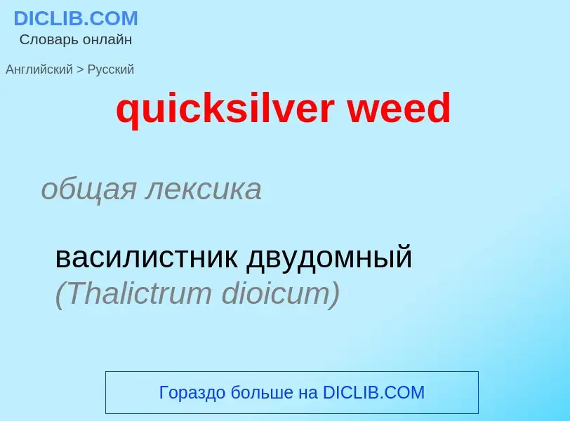 Como se diz quicksilver weed em Russo? Tradução de &#39quicksilver weed&#39 em Russo