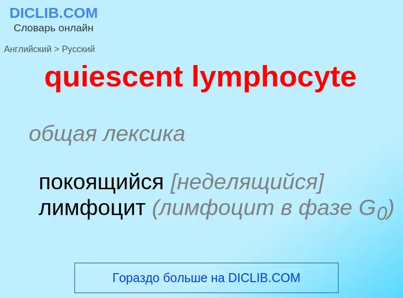 Como se diz quiescent lymphocyte em Russo? Tradução de &#39quiescent lymphocyte&#39 em Russo