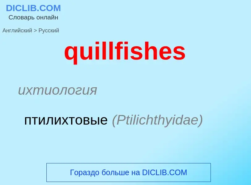 What is the Russian for quillfishes? Translation of &#39quillfishes&#39 to Russian