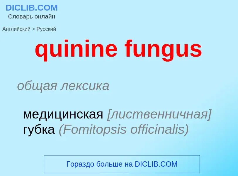 Como se diz quinine fungus em Russo? Tradução de &#39quinine fungus&#39 em Russo