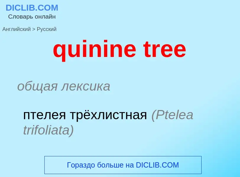 Μετάφραση του &#39quinine tree&#39 σε Ρωσικά