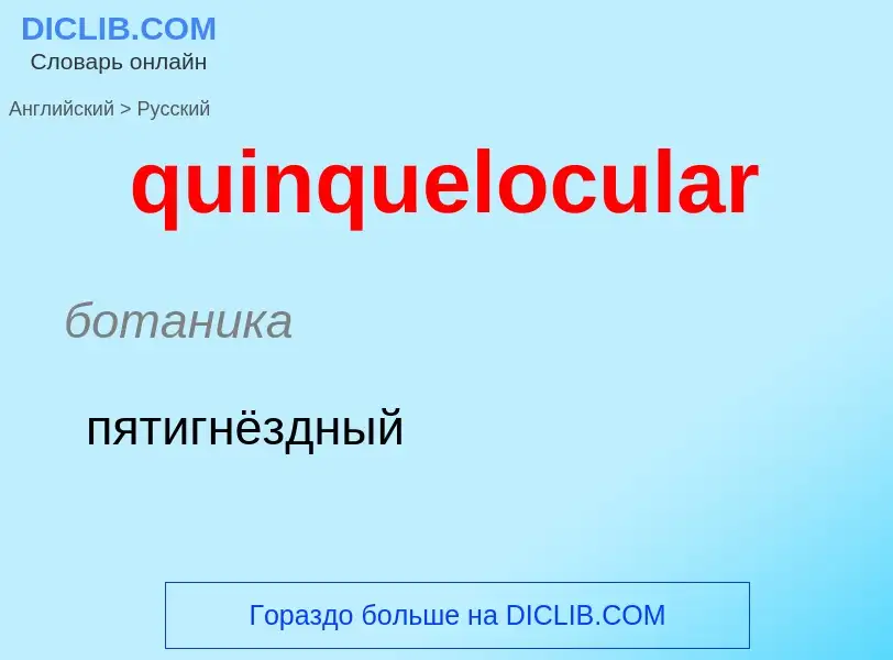 Μετάφραση του &#39quinquelocular&#39 σε Ρωσικά