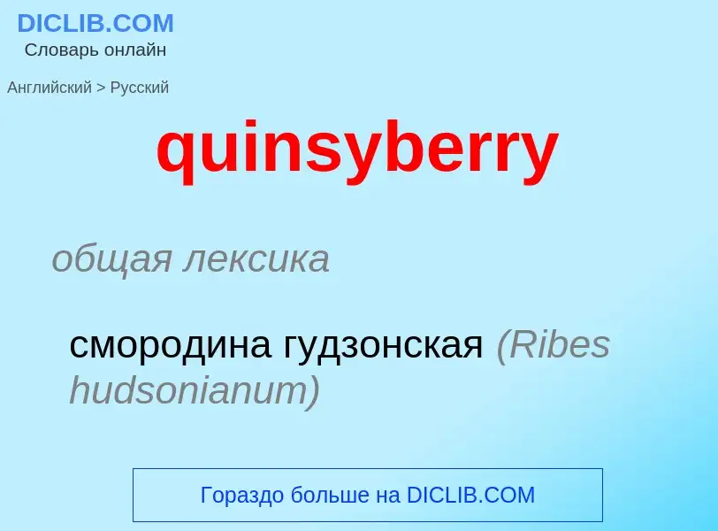 Μετάφραση του &#39quinsyberry&#39 σε Ρωσικά