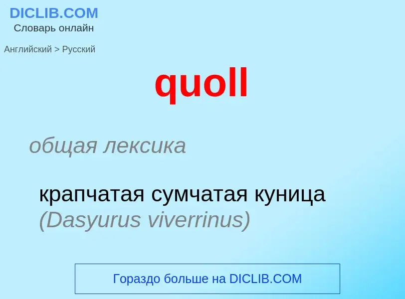 ¿Cómo se dice quoll en Ruso? Traducción de &#39quoll&#39 al Ruso