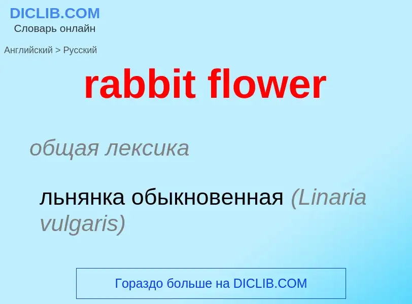 ¿Cómo se dice rabbit flower en Ruso? Traducción de &#39rabbit flower&#39 al Ruso