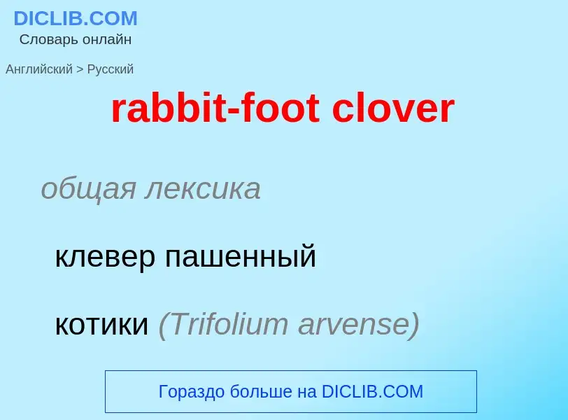 ¿Cómo se dice rabbit-foot clover en Ruso? Traducción de &#39rabbit-foot clover&#39 al Ruso