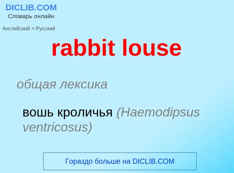 ¿Cómo se dice rabbit louse en Ruso? Traducción de &#39rabbit louse&#39 al Ruso