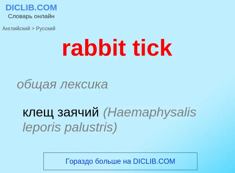 ¿Cómo se dice rabbit tick en Ruso? Traducción de &#39rabbit tick&#39 al Ruso