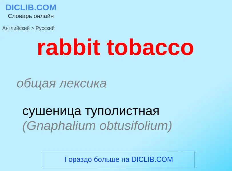 ¿Cómo se dice rabbit tobacco en Ruso? Traducción de &#39rabbit tobacco&#39 al Ruso