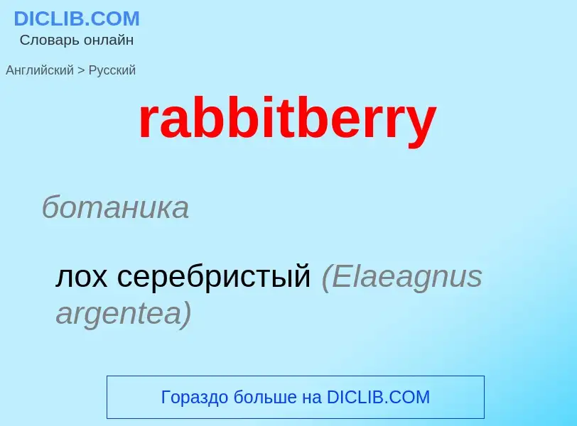 ¿Cómo se dice rabbitberry en Ruso? Traducción de &#39rabbitberry&#39 al Ruso