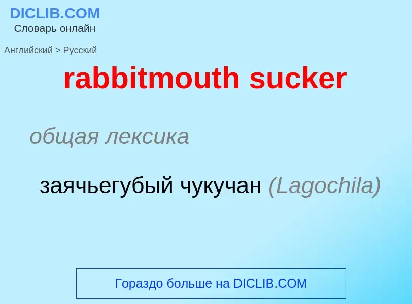 ¿Cómo se dice rabbitmouth sucker en Ruso? Traducción de &#39rabbitmouth sucker&#39 al Ruso