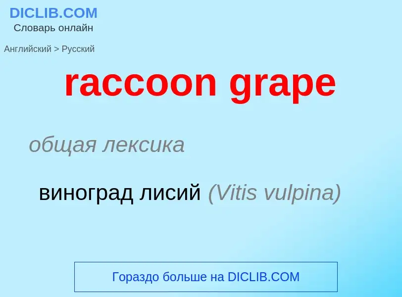 ¿Cómo se dice raccoon grape en Ruso? Traducción de &#39raccoon grape&#39 al Ruso