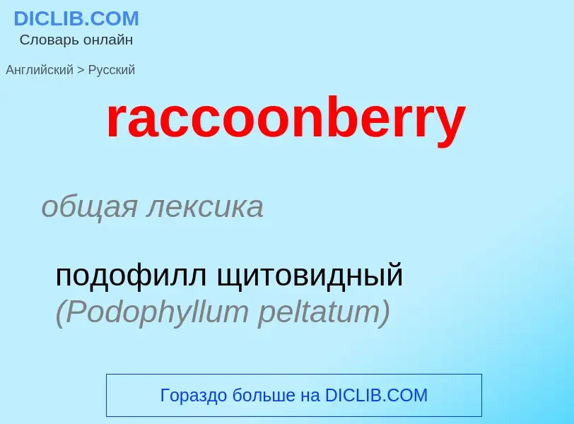 ¿Cómo se dice raccoonberry en Ruso? Traducción de &#39raccoonberry&#39 al Ruso