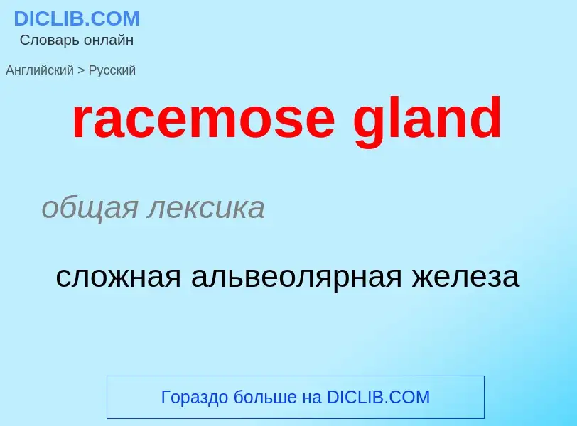 ¿Cómo se dice racemose gland en Ruso? Traducción de &#39racemose gland&#39 al Ruso