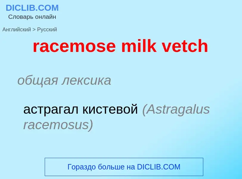 ¿Cómo se dice racemose milk vetch en Ruso? Traducción de &#39racemose milk vetch&#39 al Ruso