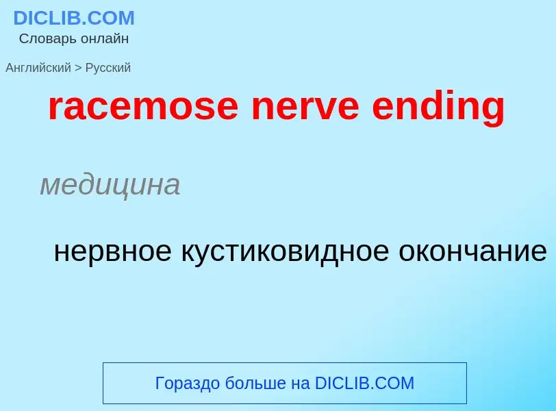 ¿Cómo se dice racemose nerve ending en Ruso? Traducción de &#39racemose nerve ending&#39 al Ruso