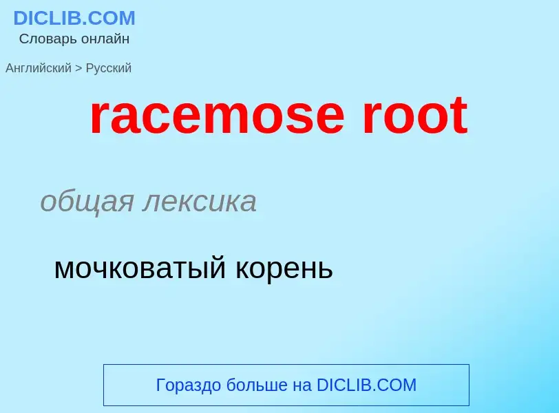 ¿Cómo se dice racemose root en Ruso? Traducción de &#39racemose root&#39 al Ruso