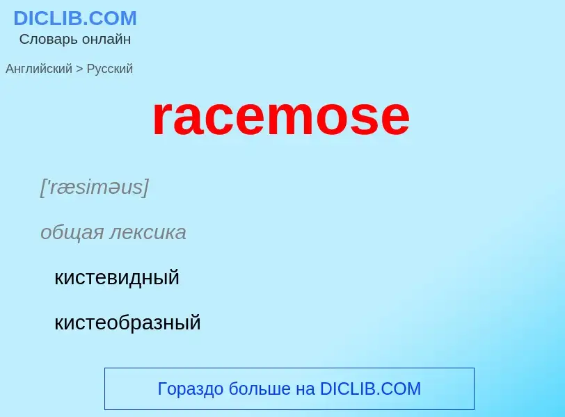 ¿Cómo se dice racemose en Ruso? Traducción de &#39racemose&#39 al Ruso