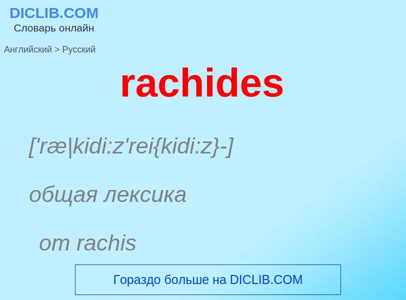 ¿Cómo se dice rachides en Ruso? Traducción de &#39rachides&#39 al Ruso