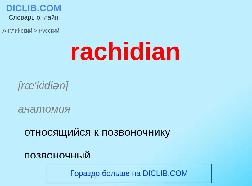 ¿Cómo se dice rachidian en Ruso? Traducción de &#39rachidian&#39 al Ruso