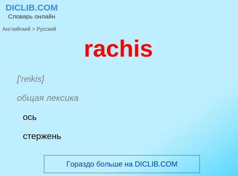 ¿Cómo se dice rachis en Ruso? Traducción de &#39rachis&#39 al Ruso