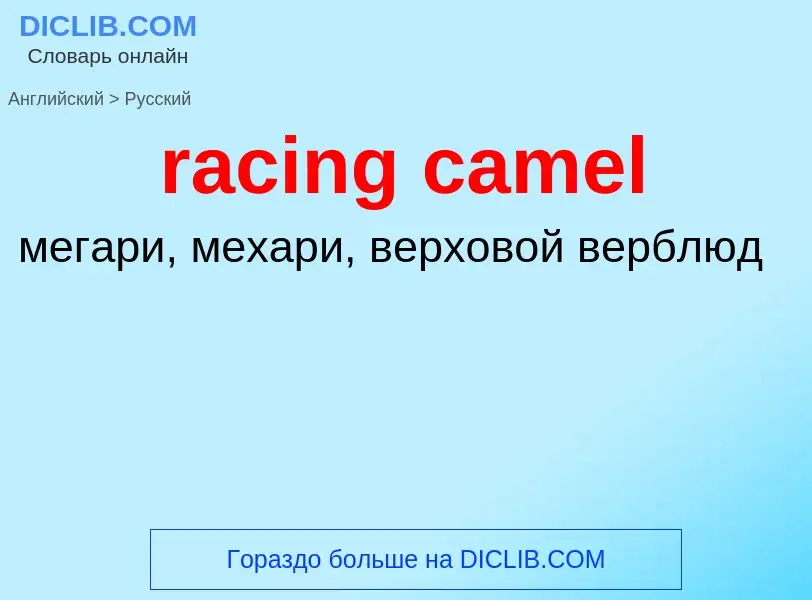 ¿Cómo se dice racing camel en Ruso? Traducción de &#39racing camel&#39 al Ruso