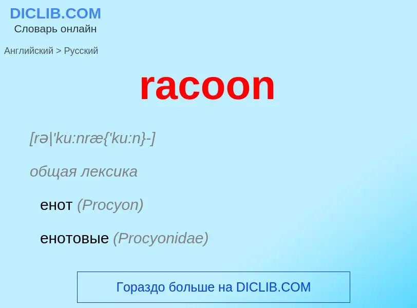 ¿Cómo se dice racoon en Ruso? Traducción de &#39racoon&#39 al Ruso