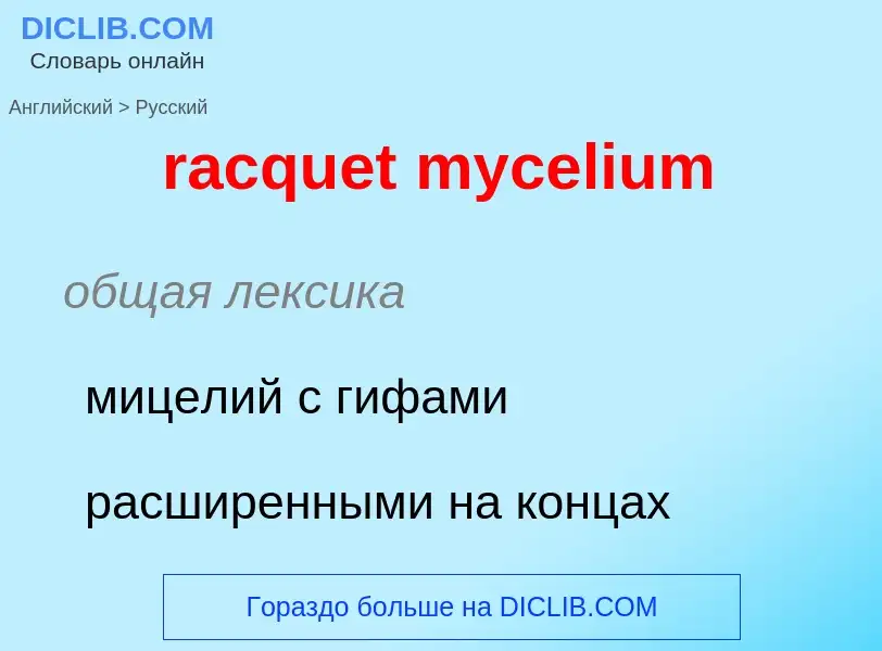 ¿Cómo se dice racquet mycelium en Ruso? Traducción de &#39racquet mycelium&#39 al Ruso