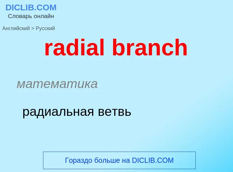 ¿Cómo se dice radial branch en Ruso? Traducción de &#39radial branch&#39 al Ruso