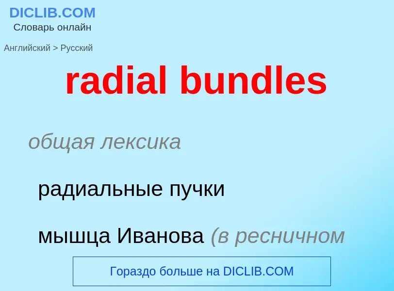 ¿Cómo se dice radial bundles en Ruso? Traducción de &#39radial bundles&#39 al Ruso