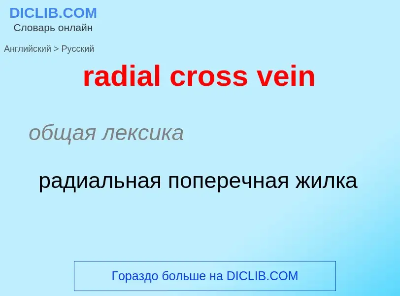 ¿Cómo se dice radial cross vein en Ruso? Traducción de &#39radial cross vein&#39 al Ruso