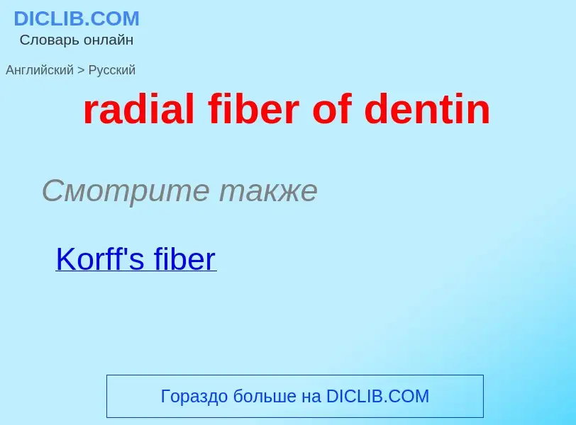 ¿Cómo se dice radial fiber of dentin en Ruso? Traducción de &#39radial fiber of dentin&#39 al Ruso