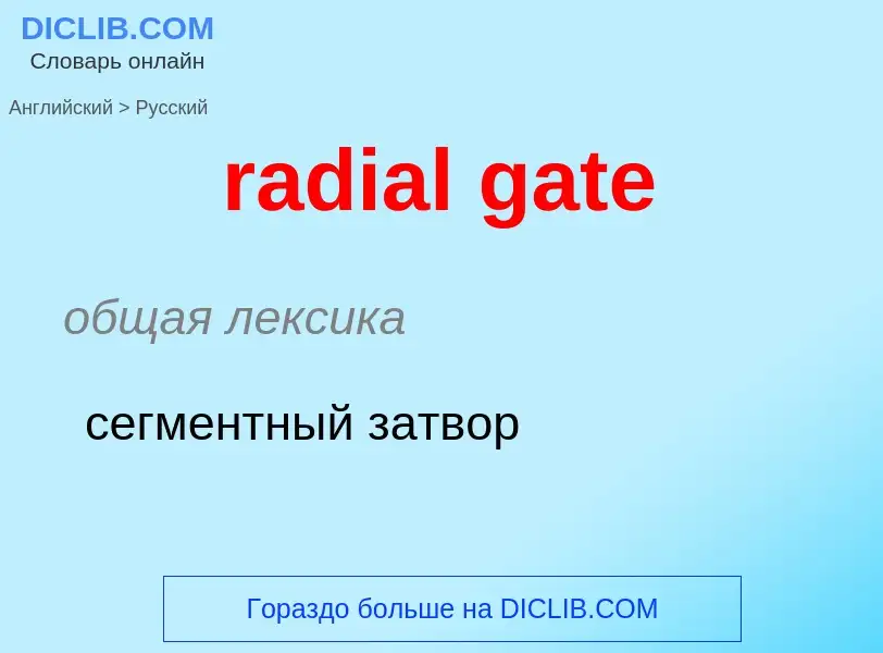 Vertaling van &#39radial gate&#39 naar Russisch