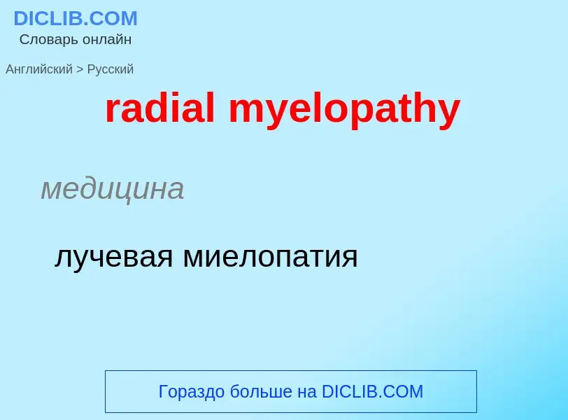 ¿Cómo se dice radial myelopathy en Ruso? Traducción de &#39radial myelopathy&#39 al Ruso